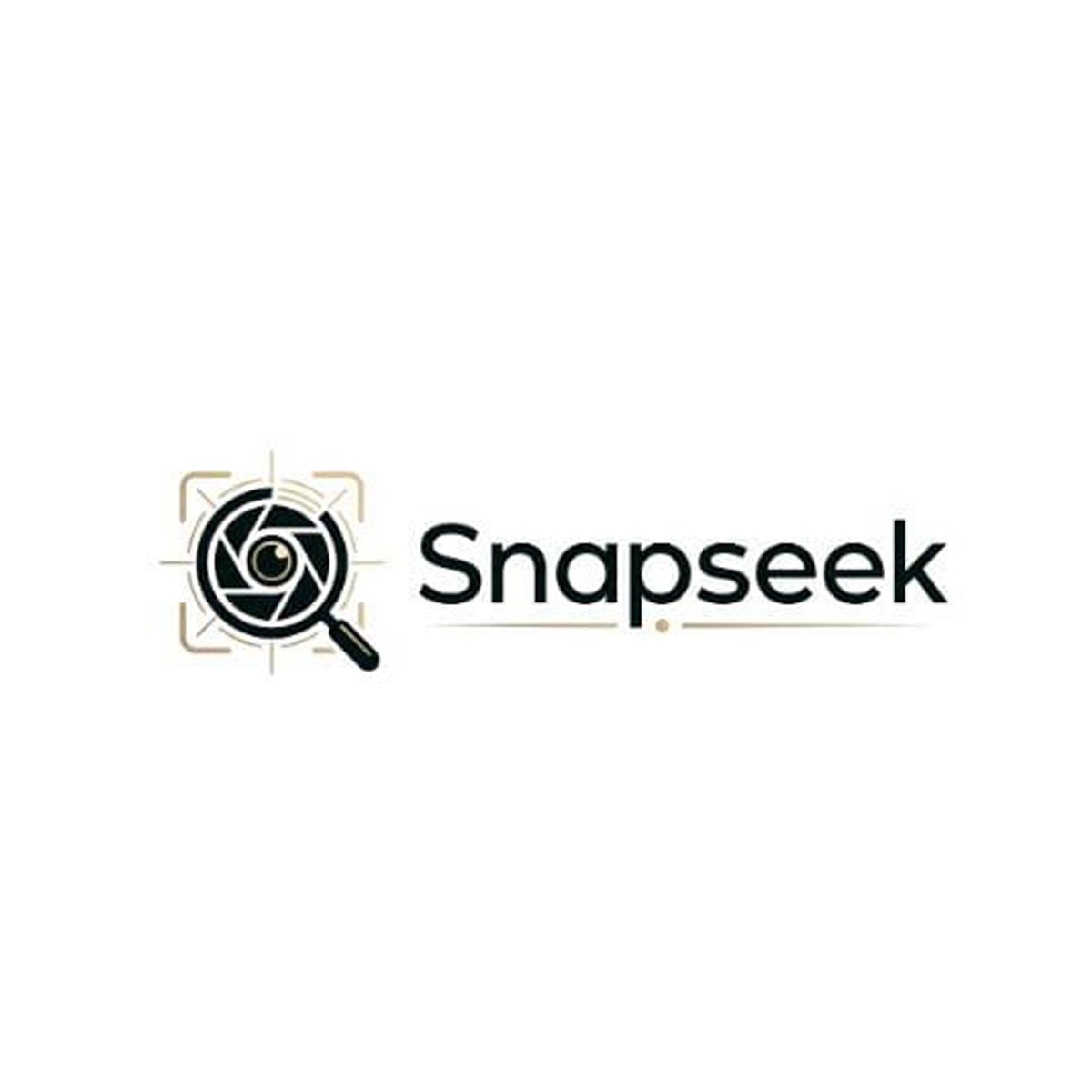Snapseek